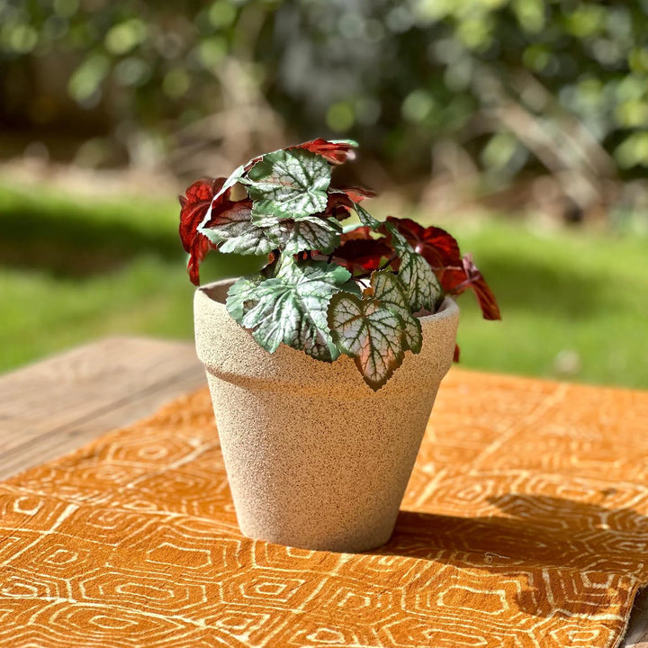 Ceramic Planter Set | White Planter Pot Set of 2