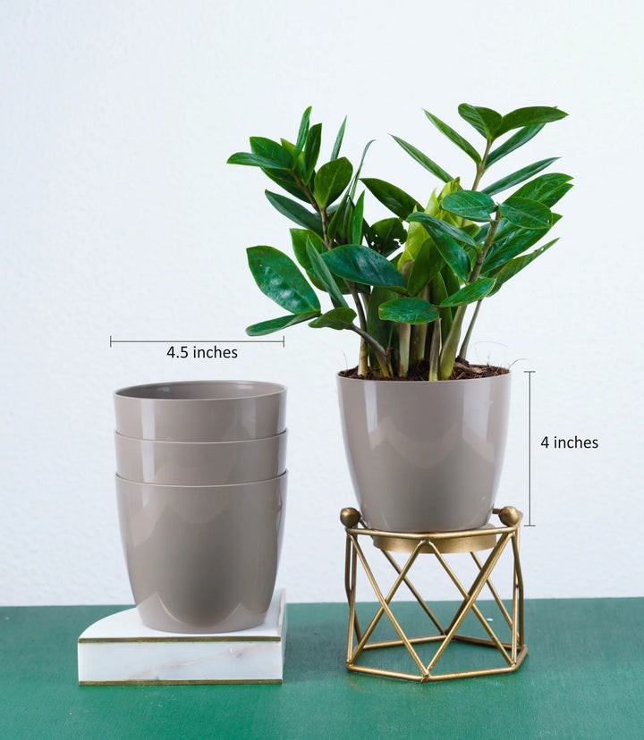 Fiber Planter Set | Mocha Glossy Bare Fiber Planter 4 Inch Set