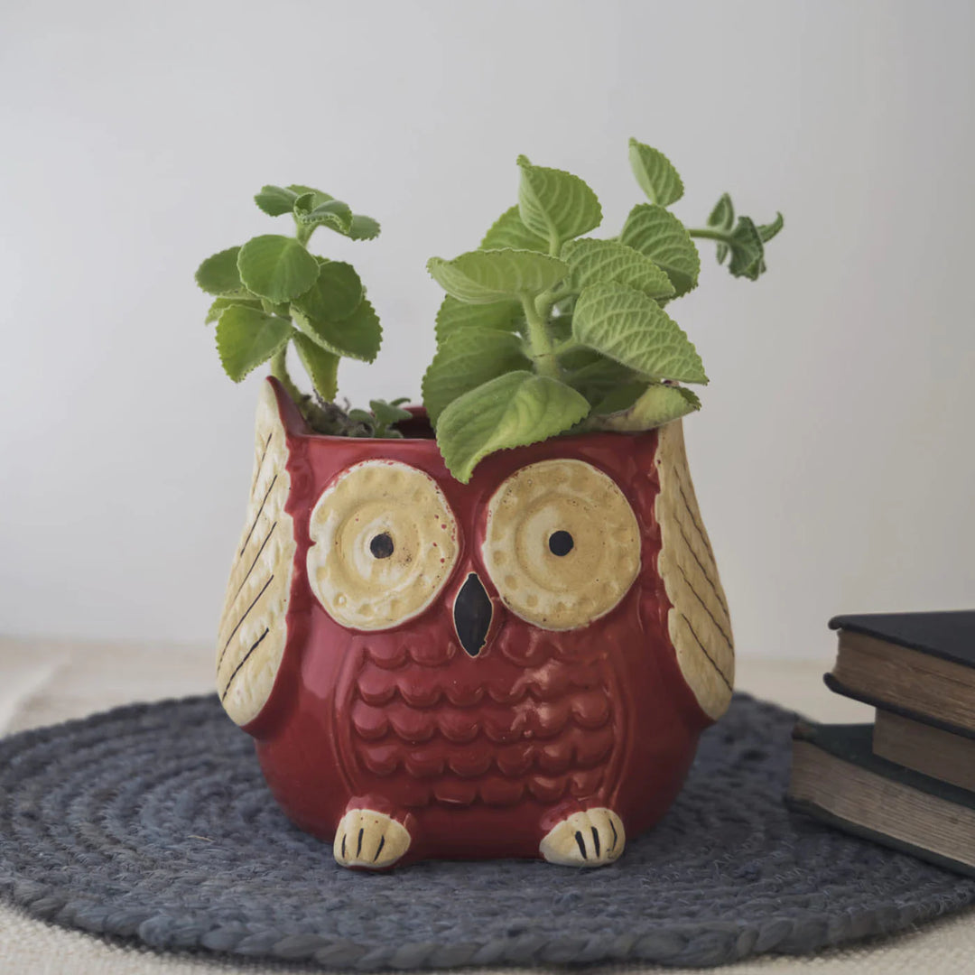 Owl Planter Pot - Handmade Ceramic, Glossy Finish | Red Owl Planter Pot