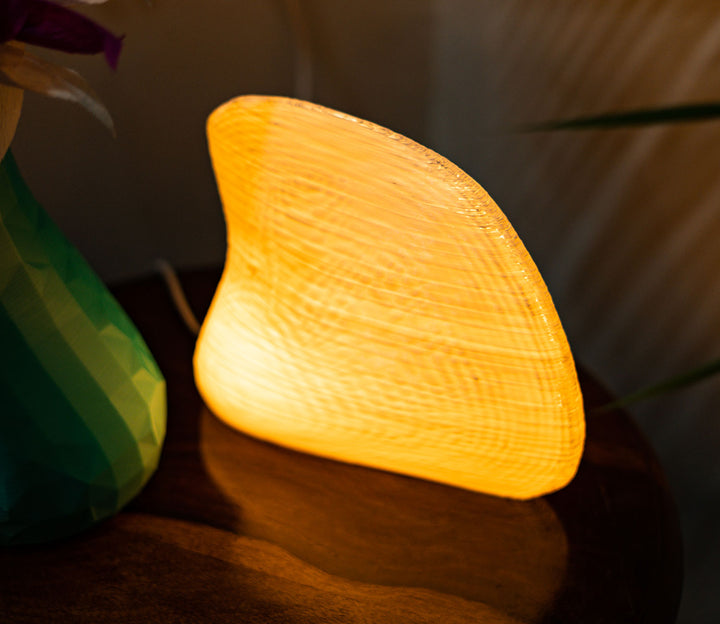 Eco-Friendly Processed Plant Starch Table Lamp