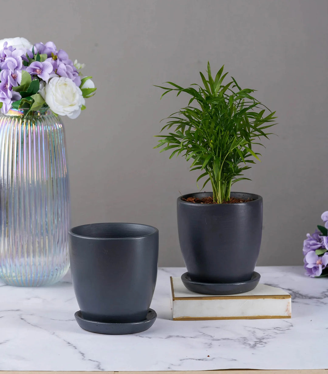 Gray Ceramic Pot | Modern Design Millennial Grey Ceramic Pot