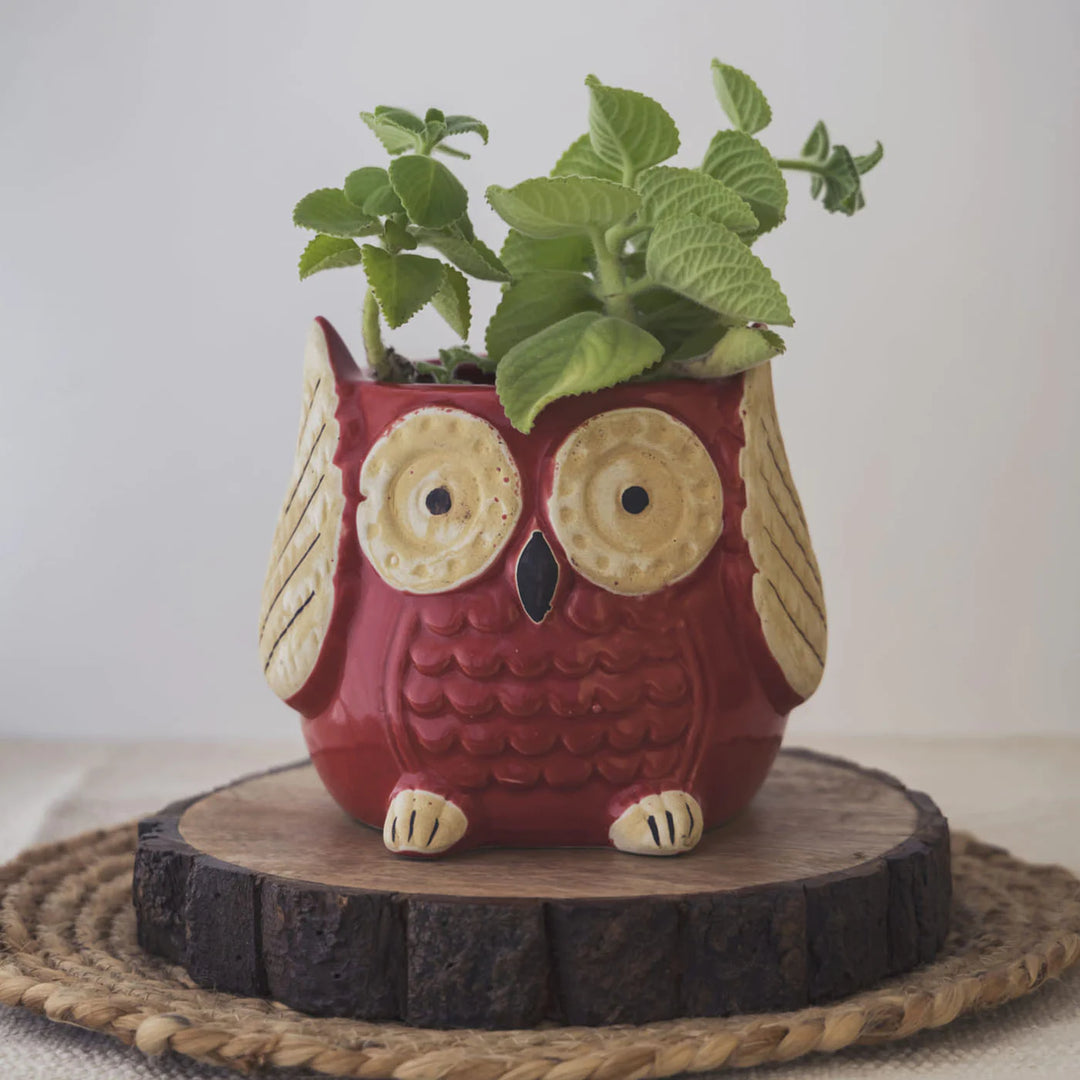 Owl Planter Pot - Handmade Ceramic, Glossy Finish | Red Owl Planter Pot