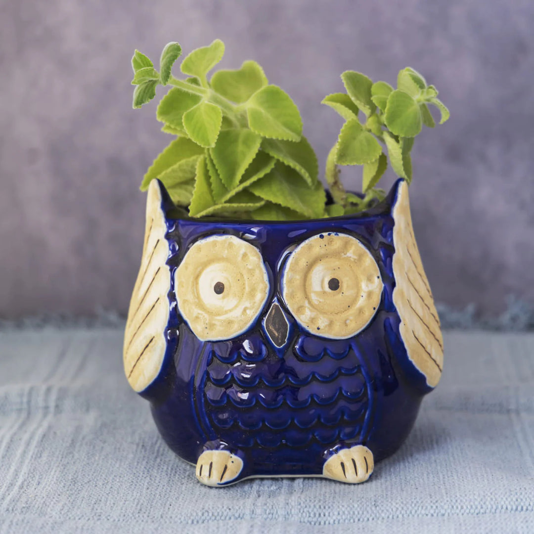 Handmade Ceramic Owl Planter | Blue Owl Planter Pot