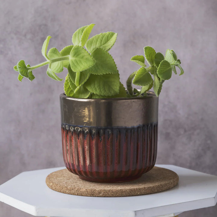 Colorful Ceramic Plant Pots | Brown Small Planter Pot