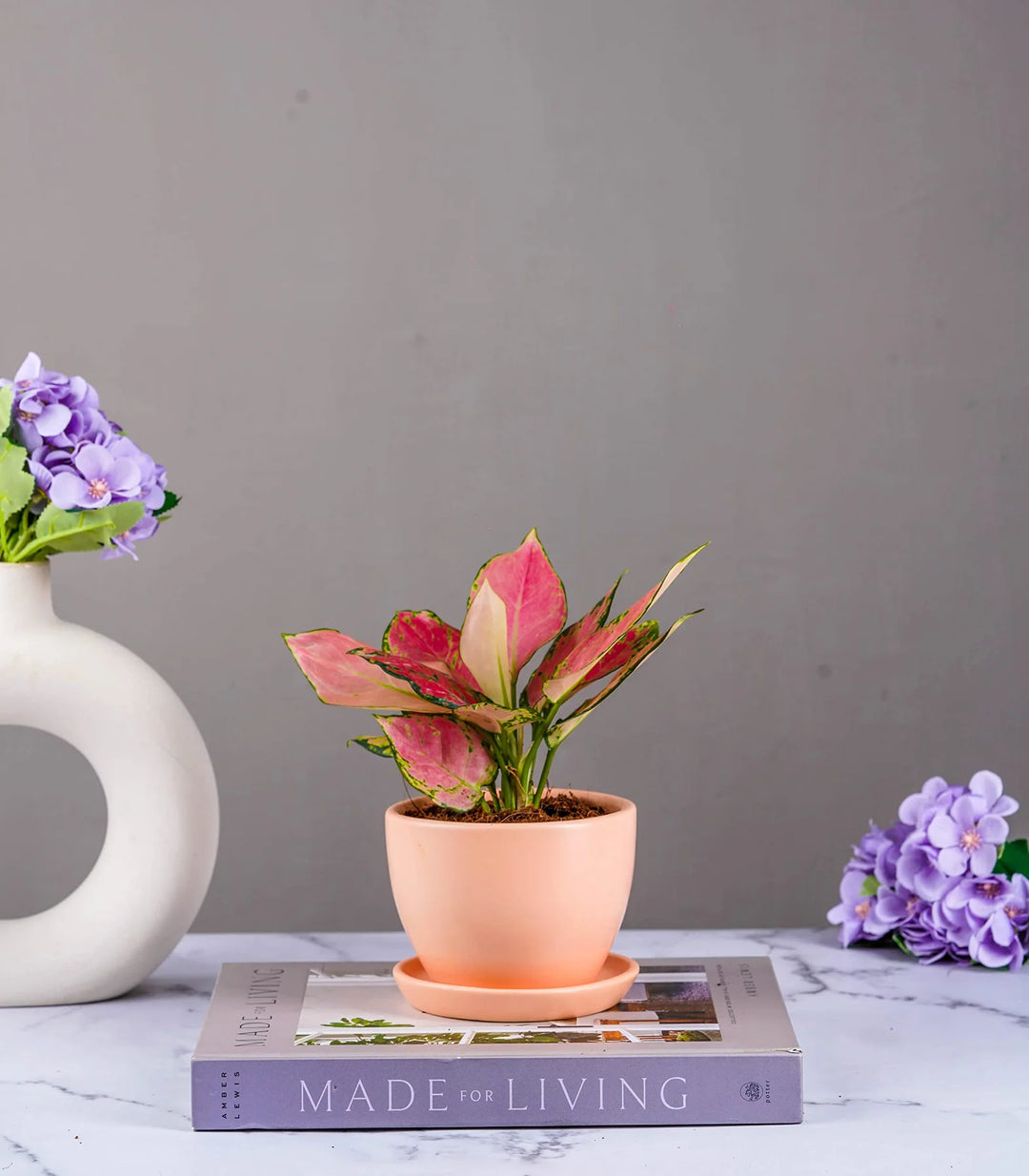 Ceramic Planter | Modern Design Millennial Ceramic Pot