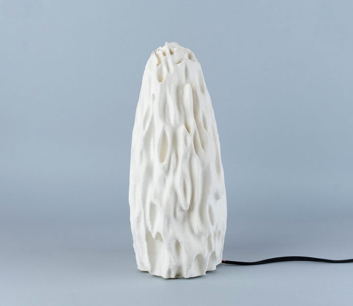 Untouched Coral Table Lamp
