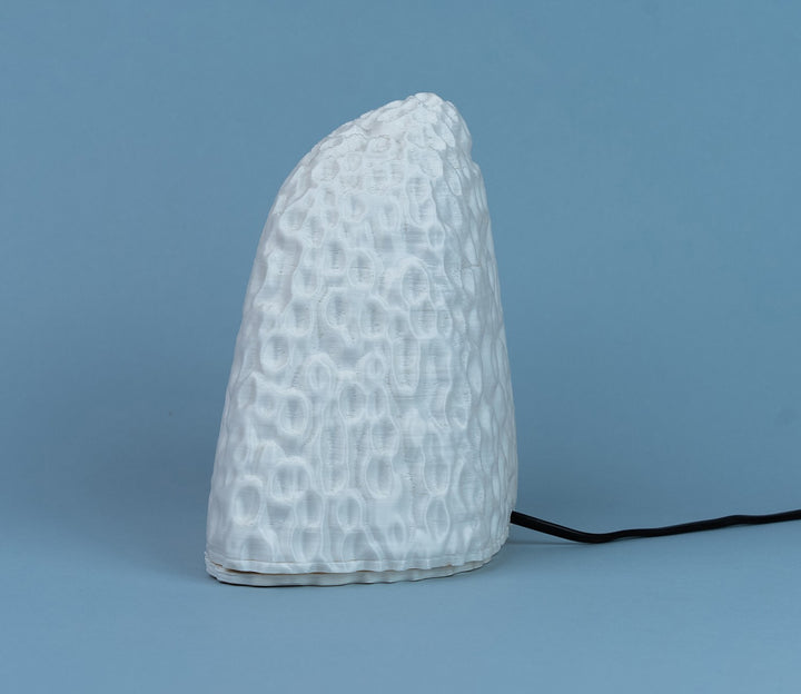 Eco-Friendly Plant Starch Table Lamp (140 cm)