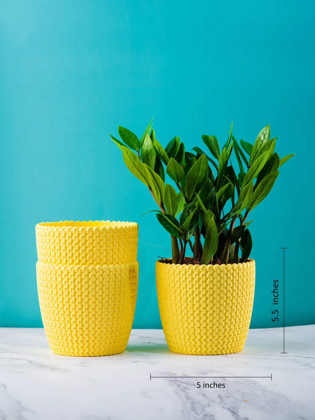 Abstract Fiber Planters Pack | Textured Yellow Purl Fiber Planters Pack