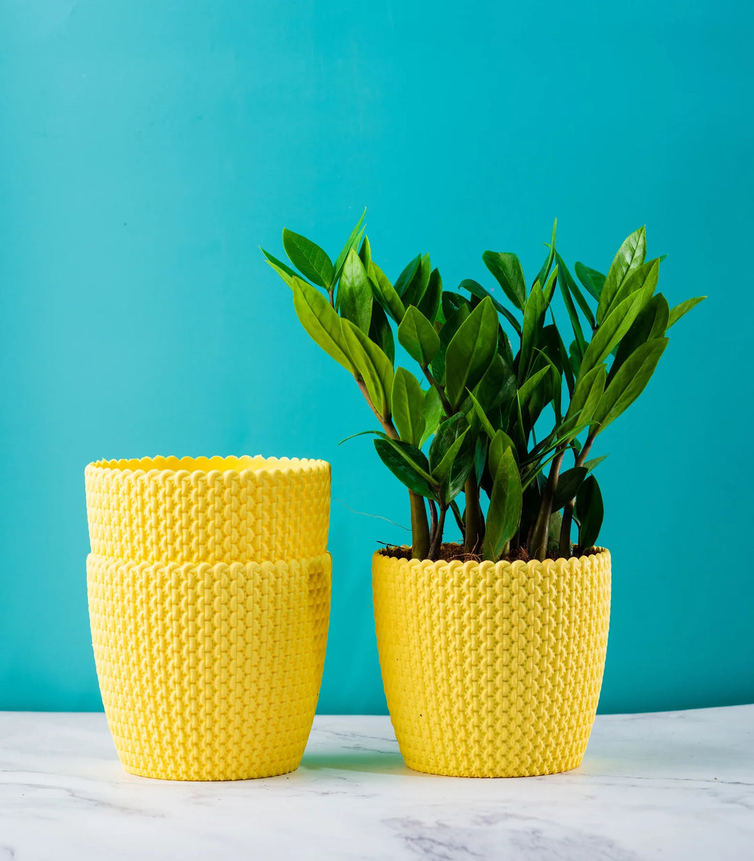 Abstract Fiber Planters Pack | Textured Yellow Purl Fiber Planters Pack