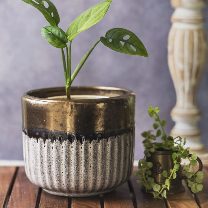 Handmade Ceramic Planter Pot | White - Gold Small Planter Pot