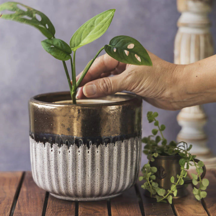 Handmade Ceramic Planter Pot | White - Gold Small Planter Pot