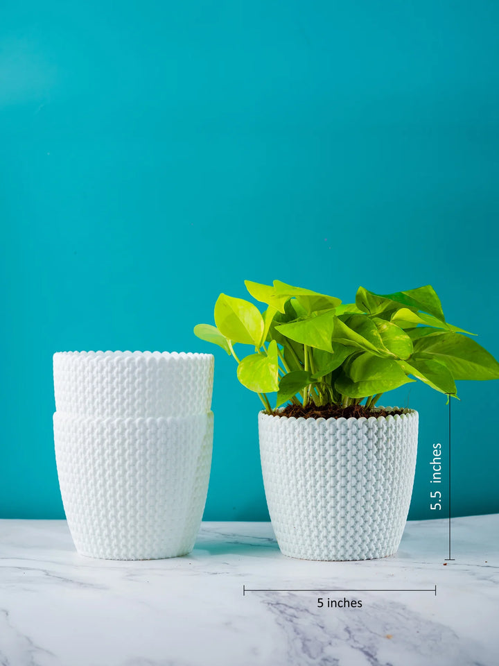 White Fiber Planters | Textured White Purl Fiber Planters Pack