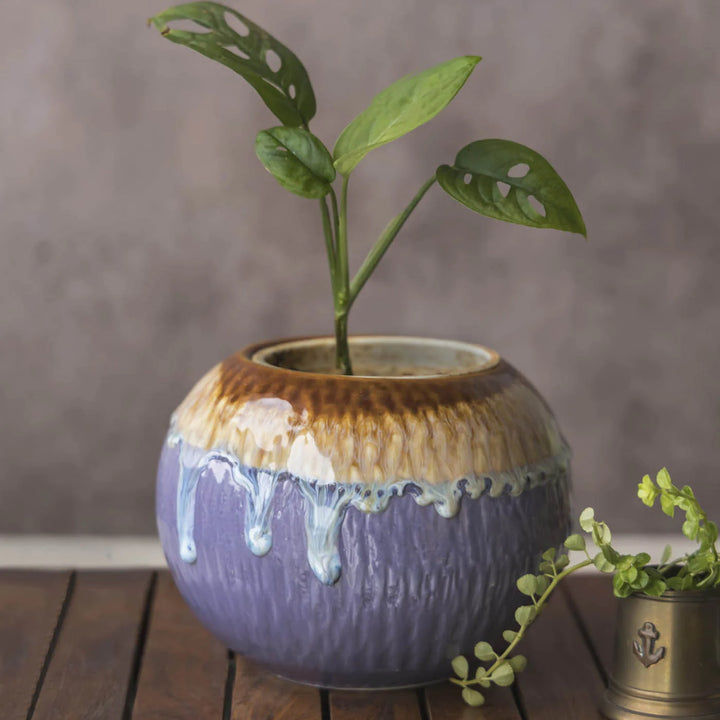 Brown & Purple Ceramic Planter Pot | Brown & Purple Planter Pot