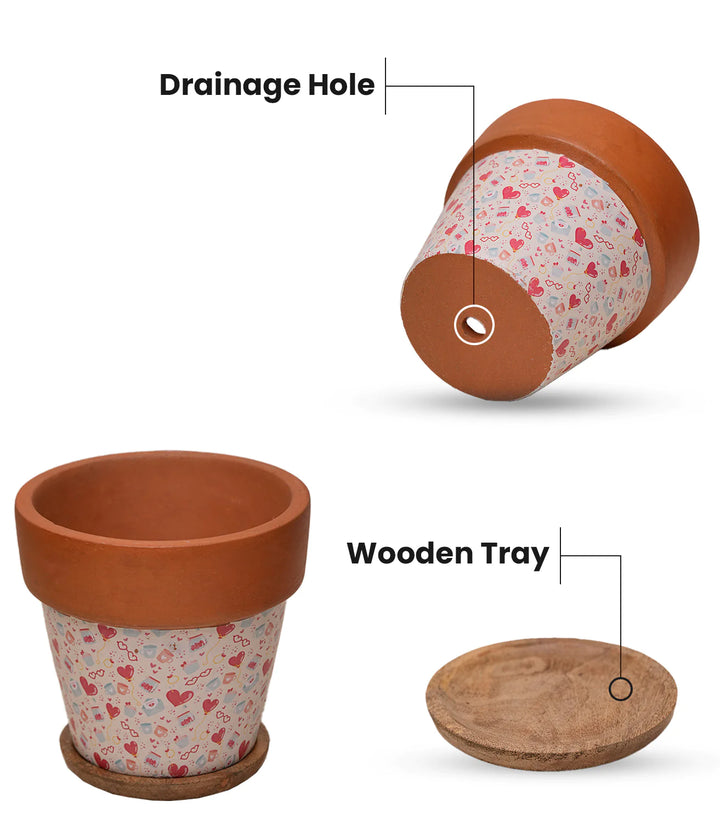 Lime Terracotta Plant Pots Combo with Wooden Tray | Basica' Lime Terracotta Plant Pots Combo with Wooden Bottom Tray