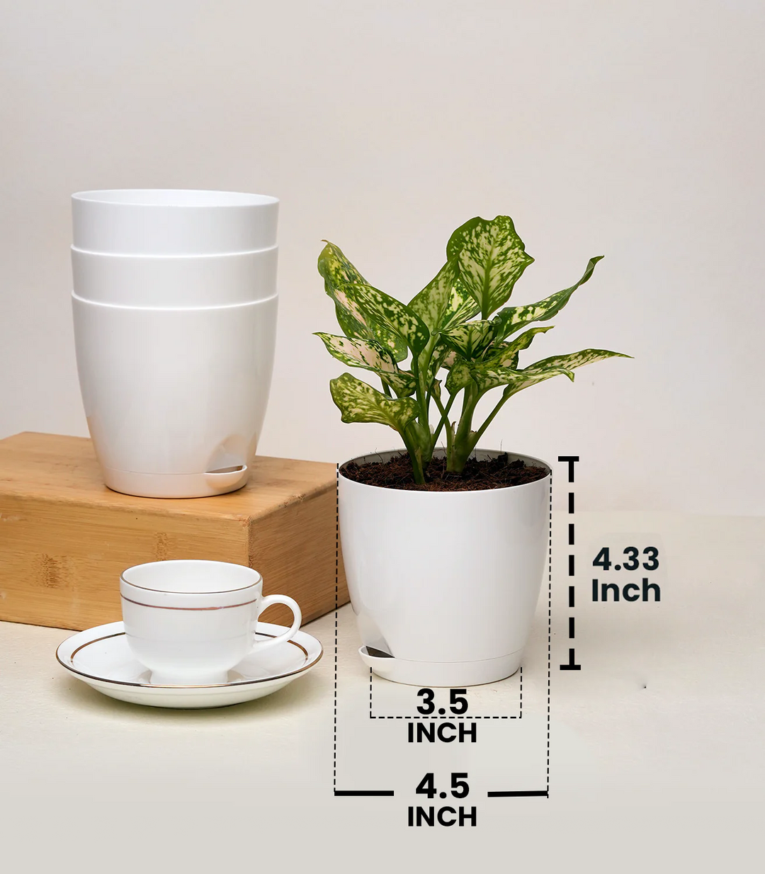 Self-Watering Pots for Small Plants | Set of 2 Self-Watering 4-Inch Plastic Pots (White & Mocha)