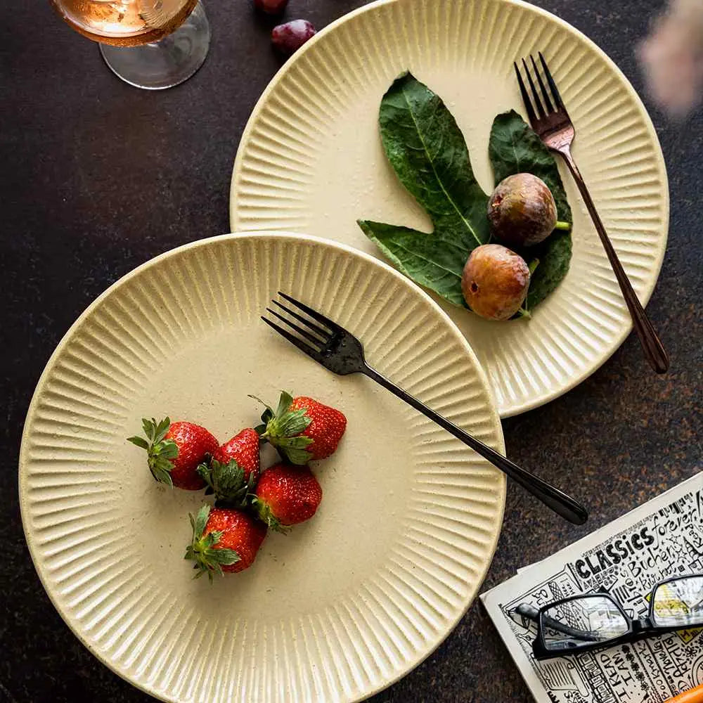 Set of 2 Ceramic Plates - 10 x 10 with Matte Finish | Ceramic Plates with Rimmed Edge Set of 2