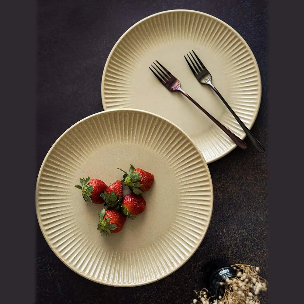Set of 2 Ceramic Plates - 10 x 10 with Matte Finish | Ceramic Plates with Rimmed Edge Set of 2