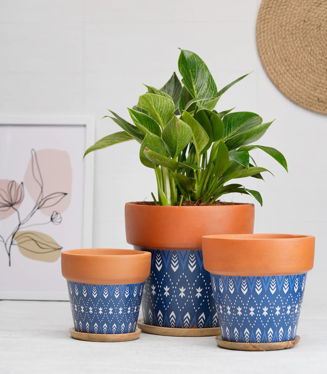 Terracotta Plant Pots Combo with Wooden Tray | Basica' Blue Terracotta Plant Pots Combo with Wooden Bottom Tray