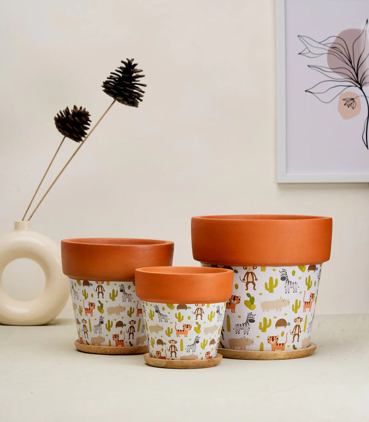 Terracotta Plant Pots Combo with Wooden Tray | Basica' White Terracotta Plant Pots Combo with Wooden Bottom Tray