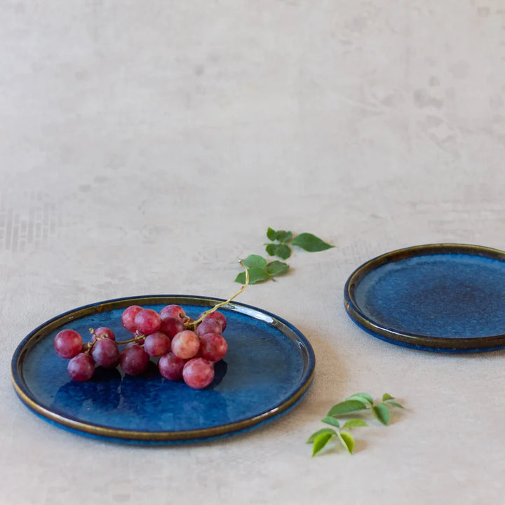 Blue Macaw Ceramic Plate Set | Handmade Ceramic Flat Plate Set of 2 - Blue