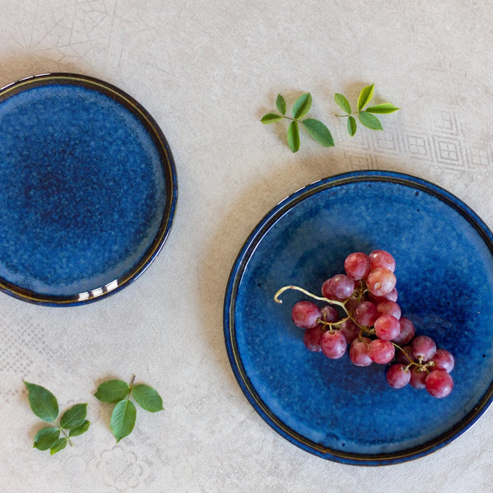 Blue Macaw Ceramic Plate Set | Handmade Ceramic Flat Plate Set of 2 - Blue
