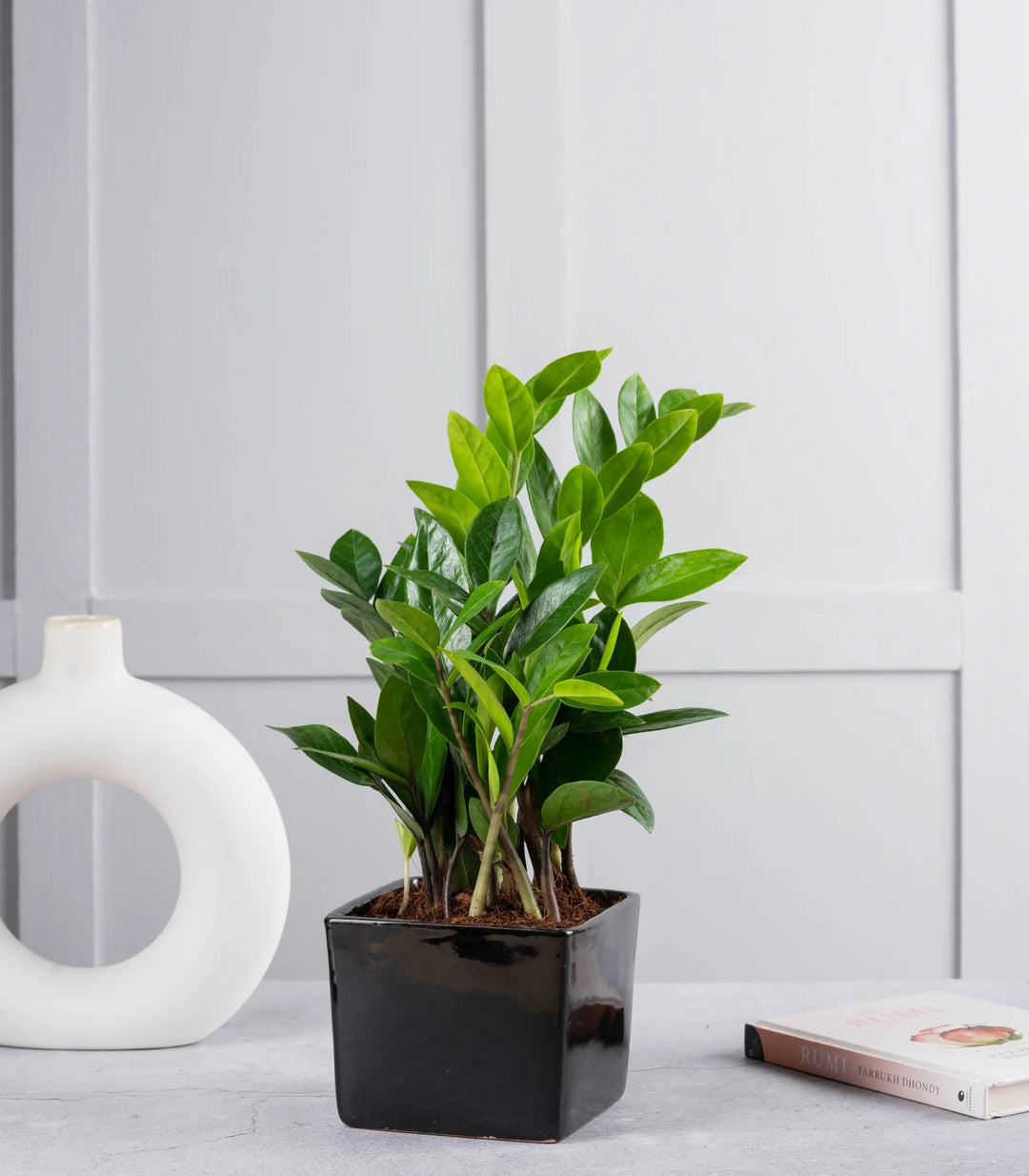 Black Ceramic Indoor Plant Pot | Black Evergreen Ceramic Pot for Houseplants