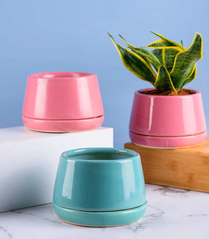 Ceramic Pots Combo in Teal and Peach Color | Ciel Ceramic Pots Combo in Teal and Peach Color