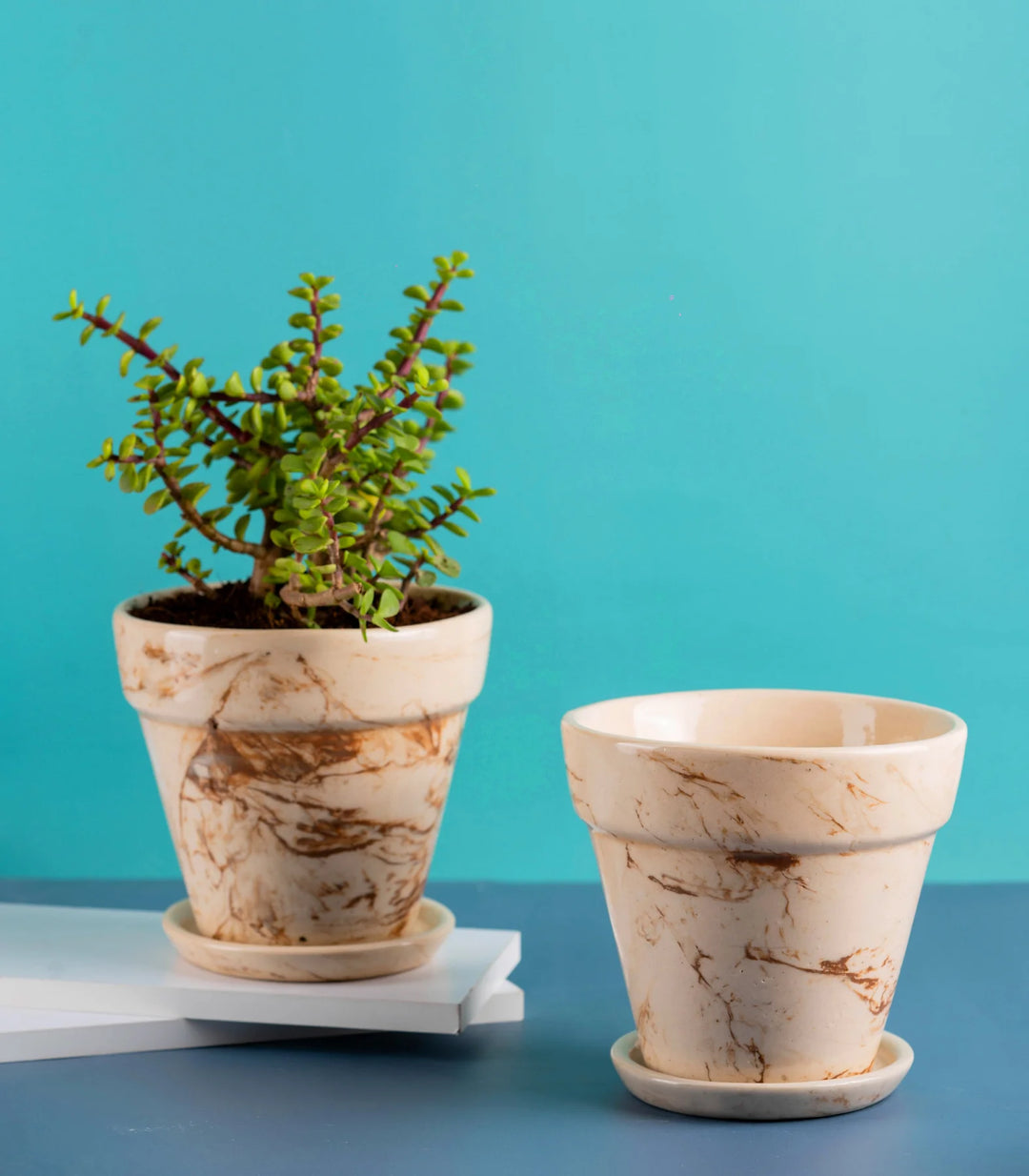 5 Inch Ceramic Pots Set of 2 | Decorative 5 Inch Mystique Ceramic Pots Set of 2