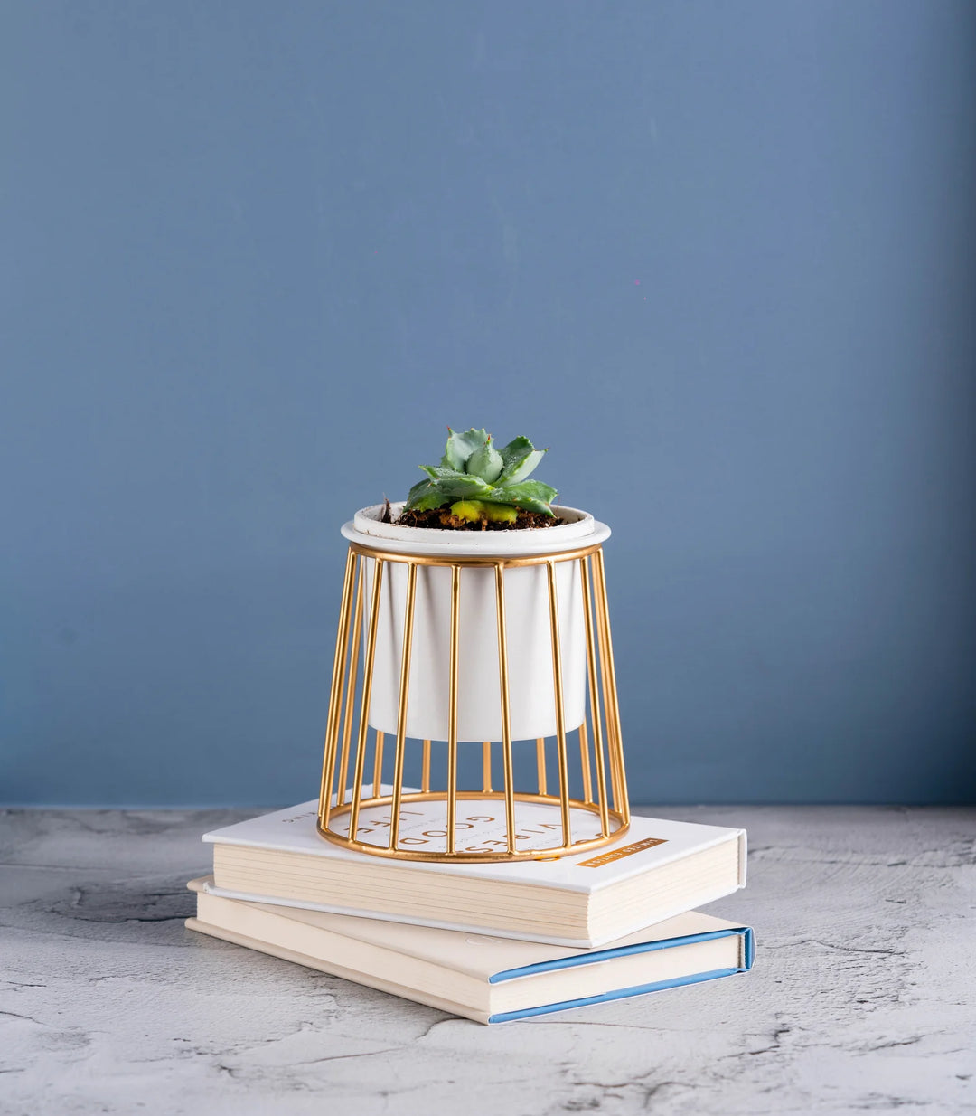 Gold Plant Stands | Round & Conical Metallic Gold Ottoman Metal Stands