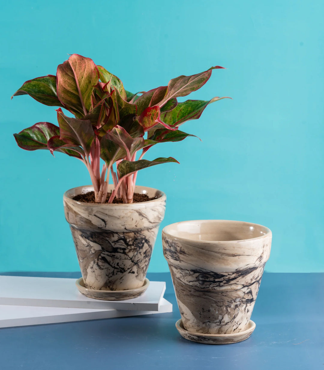 Mystique Ceramic Pots Set | Decorative 6 Inch Mystique Ceramic Pots Set of 2