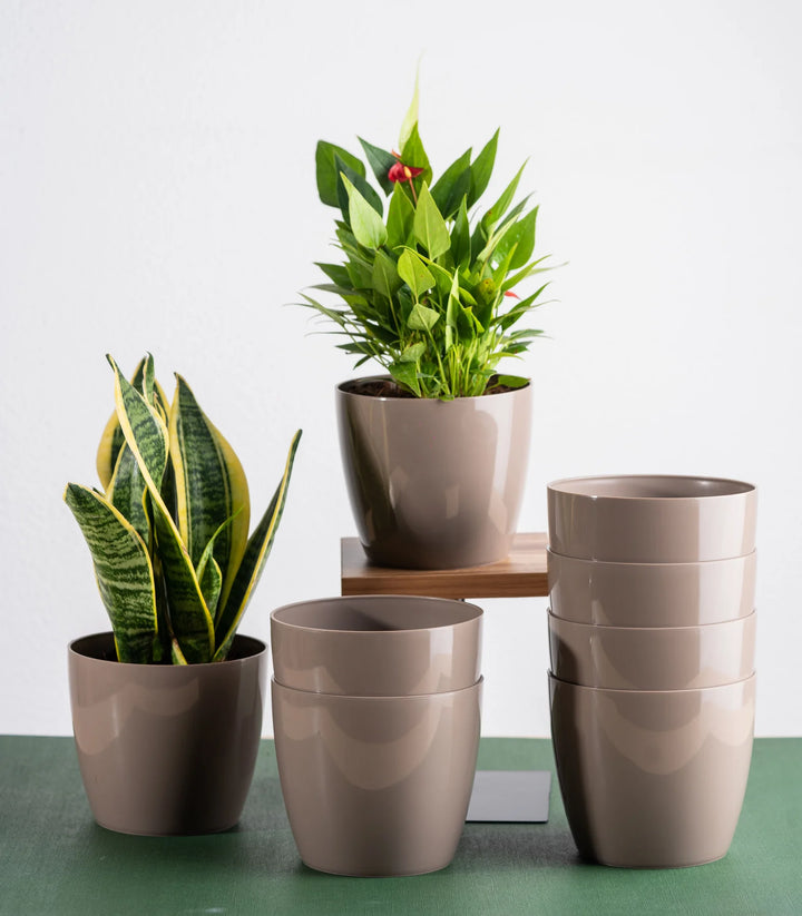 5 Inch Fiber Planter Set | Mocha Glossy Bare Fiber Planter Set - 5 Inch