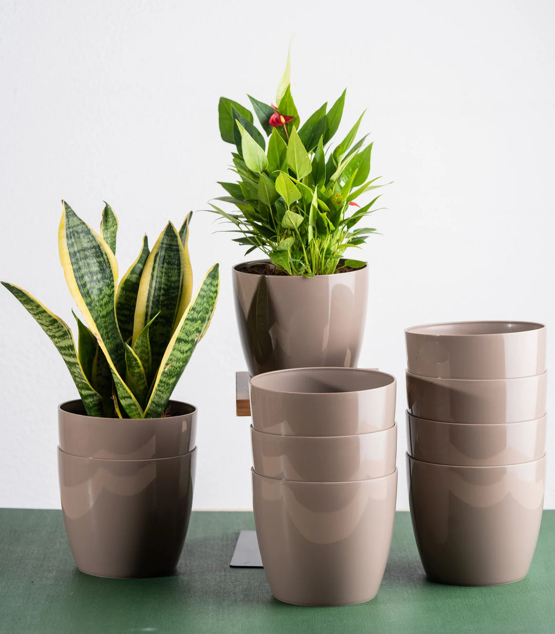 5 Inch Fiber Planter Set | Mocha Glossy Bare Fiber Planter Set - 5 Inch