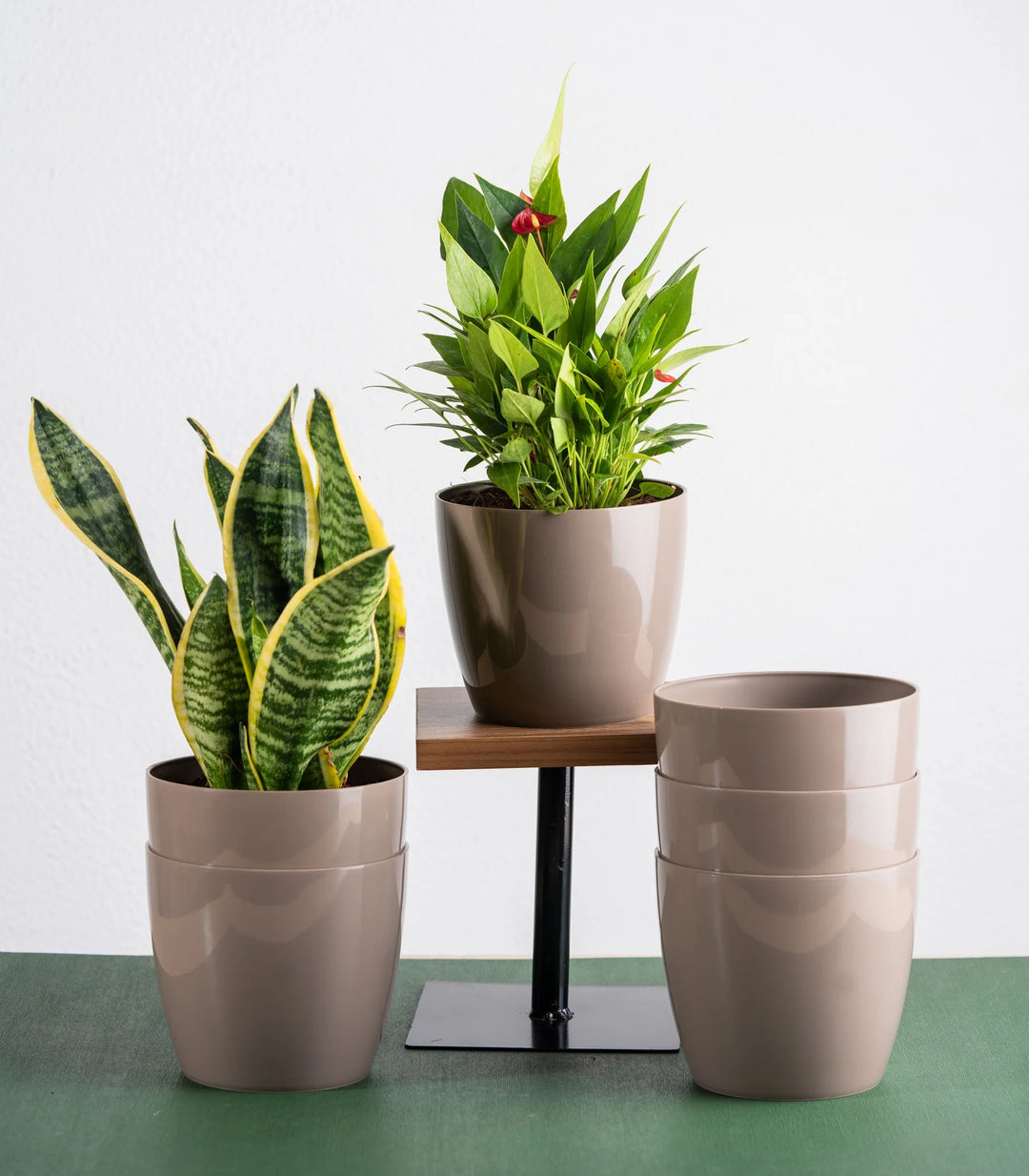 5 Inch Fiber Planter Set | Mocha Glossy Bare Fiber Planter Set - 5 Inch