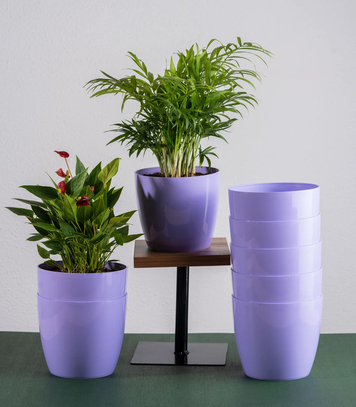 5 Inch Fiber Planter Set | Purple Glossy Bare 5 Inch Fiber Planter Set