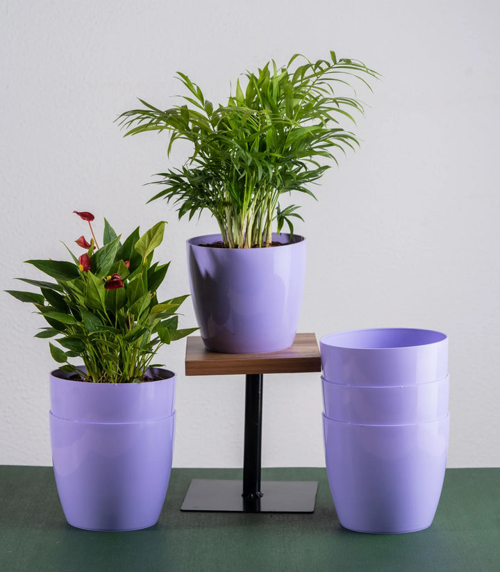 5 Inch Fiber Planter Set | Purple Glossy Bare 5 Inch Fiber Planter Set