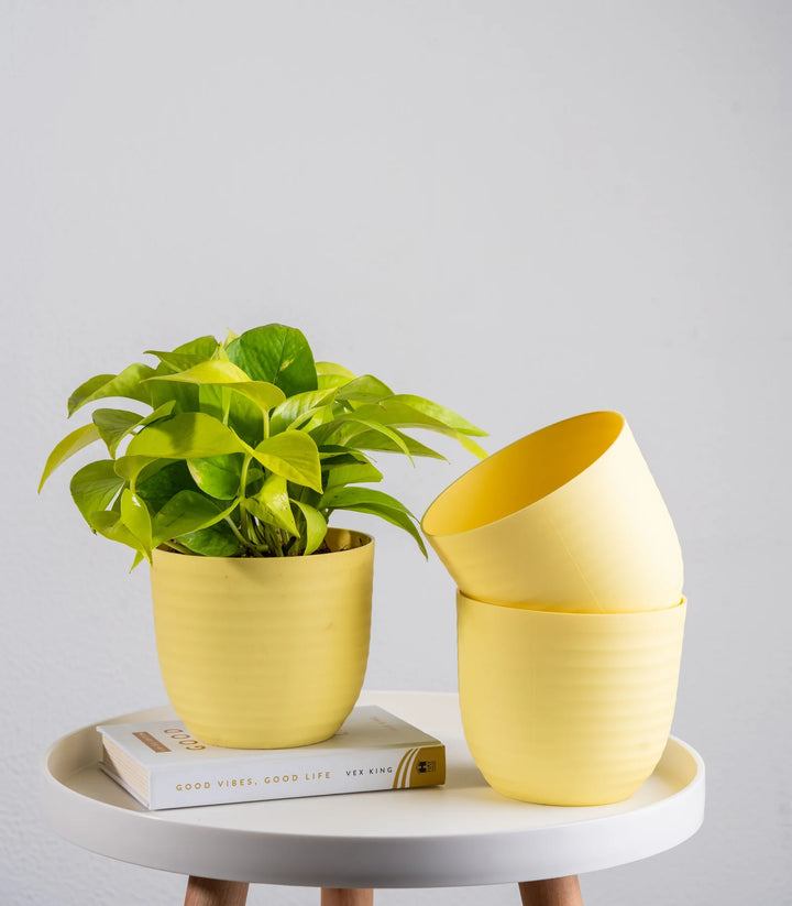 Yellow Wave Fiber Planters | Yellow Wave Fiber Planters with Matte Finish