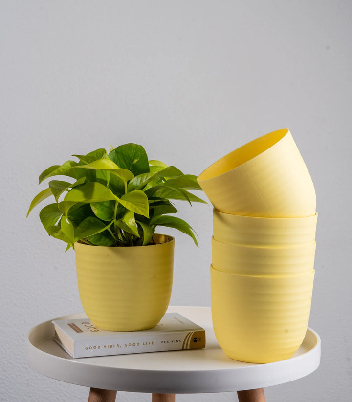 Yellow Wave Fiber Planters | Yellow Wave Fiber Planters with Matte Finish