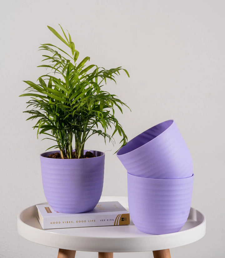 Fiber Planters with Matte Finish | Purple Wave Fiber Planters with Matte Finish