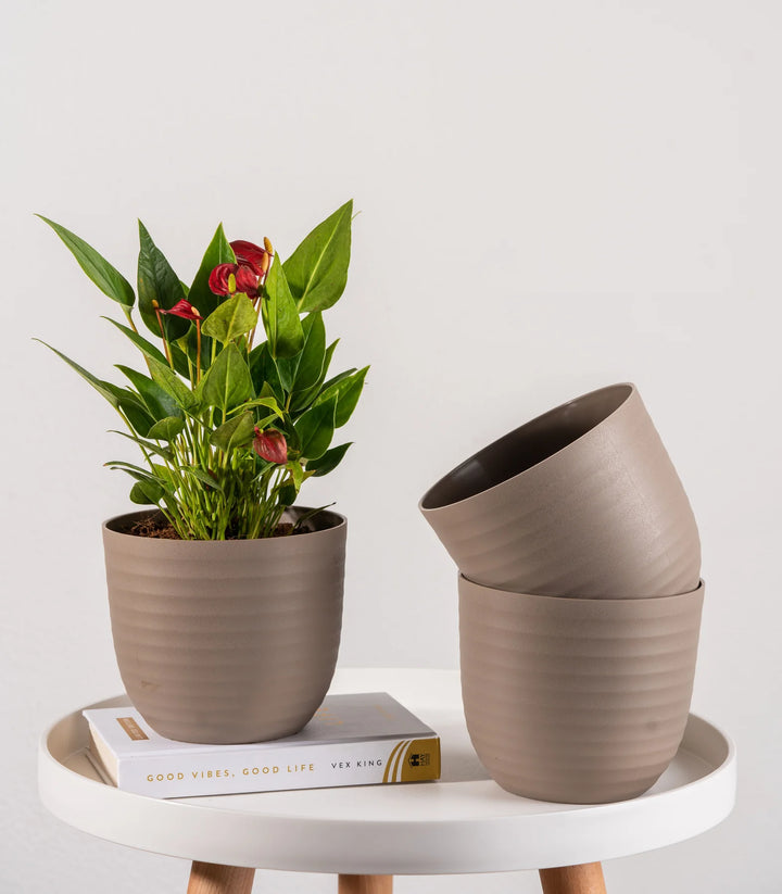 Wave Fiber Planters with Matte Finish | Mocha Wave Fiber Planters with Matte Finish