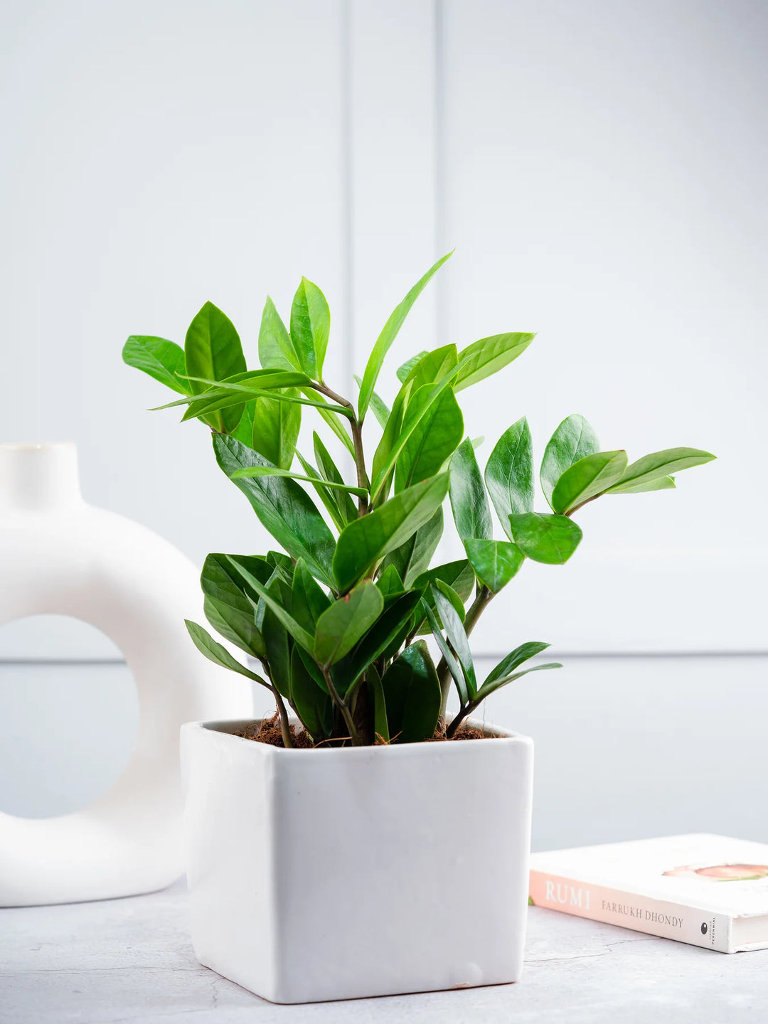 Indoor Plant Ceramic Pots with Drainage | White Ceramic Pots for Indoor Plants (Set of 2)