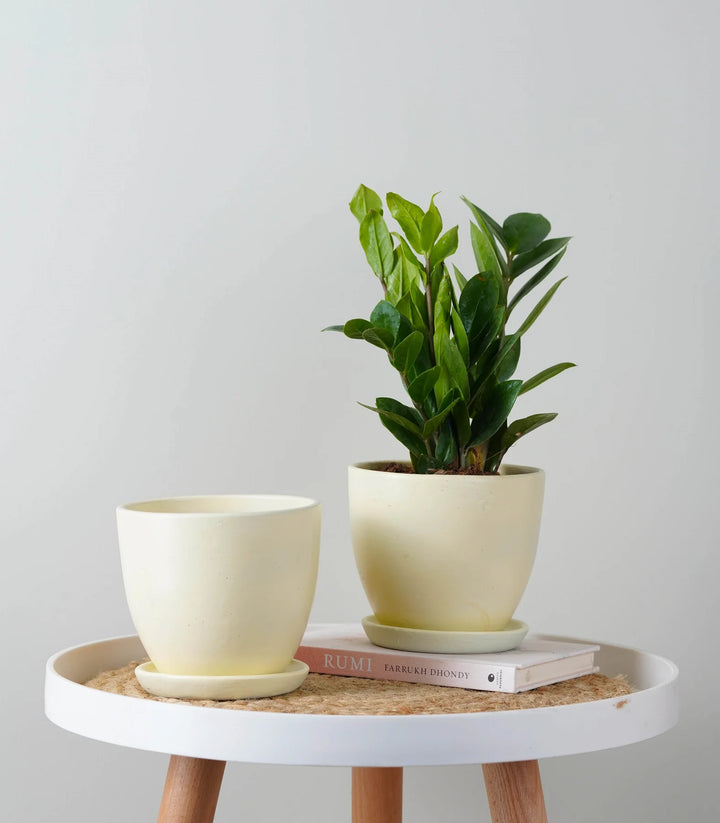 White Ceramic Pot | Ivory White Millennial Ceramic Pot