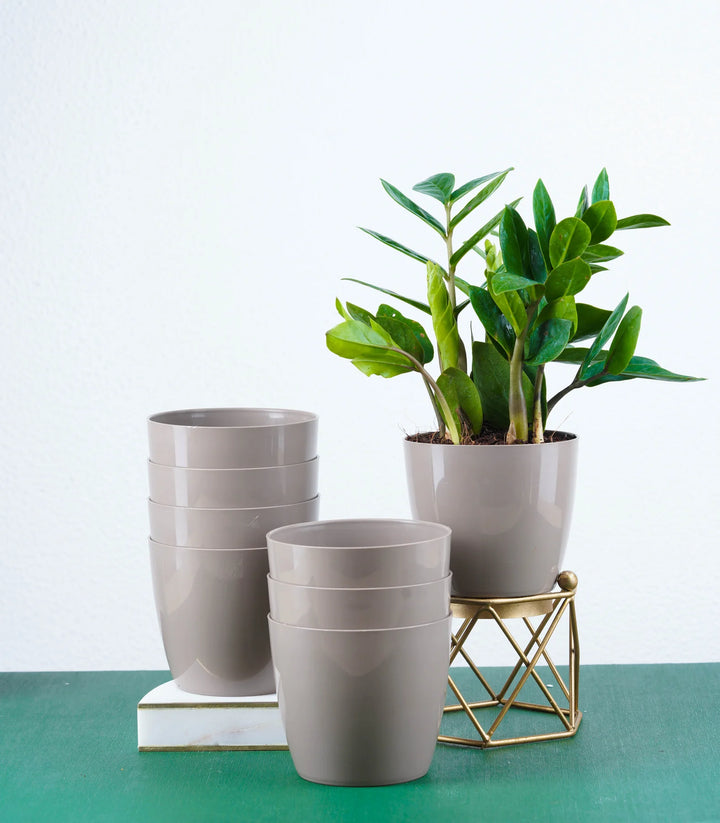 Fiber Planter Set | Mocha Glossy Bare Fiber Planter 4 Inch Set