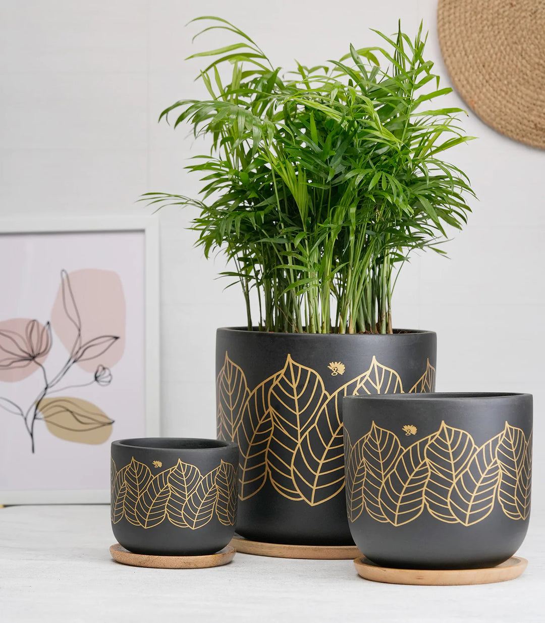 Terracotta Plant Pots Combo with Wooden Tray | Zen' Black Terracotta Plant Pots Combo with Wooden Bottom Tray