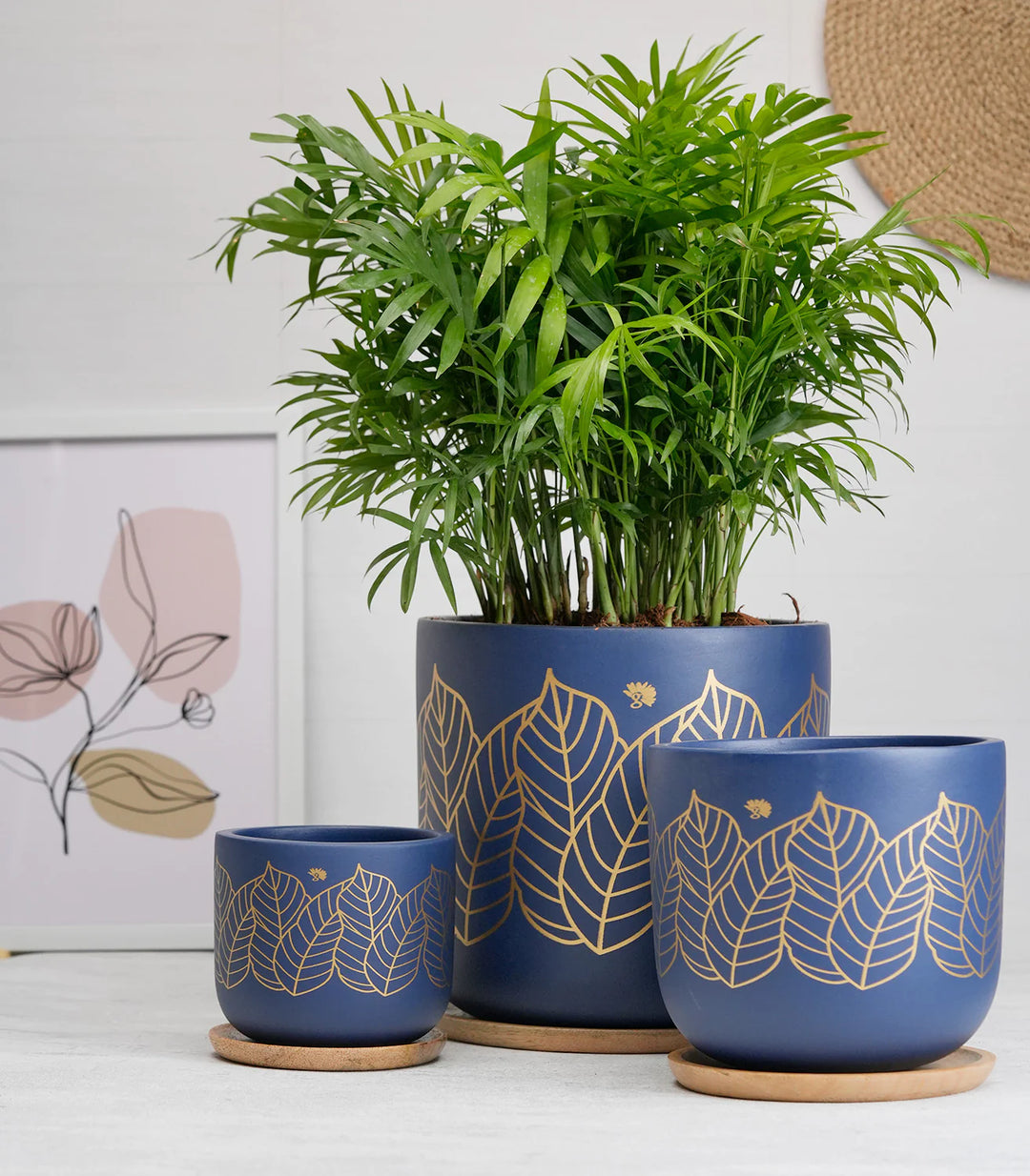 Terracotta Plant Pots Combo with Wooden Tray | Zen' Blue Terracotta Plant Pots Combo with Wooden Bottom Tray